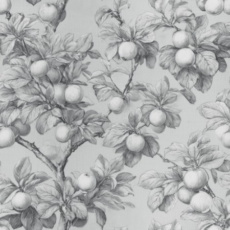 Picture of Benedikt Grey - 1105201-03